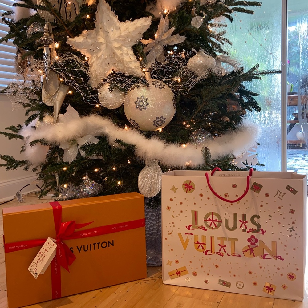 Louis Vuitton Box and seasonal bag